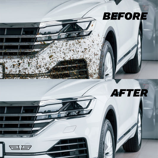 Excessive Bugs & Tar Removal