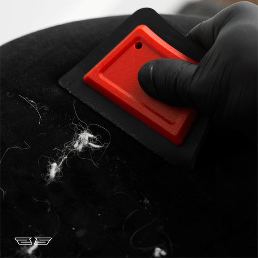 Pet Hair Removal (Starting)